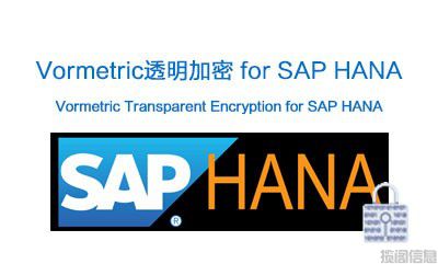 适用于SAP HANA的Vormetric透明加密（Vormetric Transparent Encryption for SAP HANA）