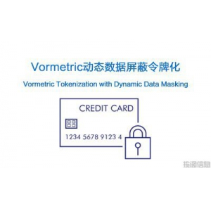 Vormetric动态数据屏蔽令牌化（Vormetric Tokenization with Dynamic Data 