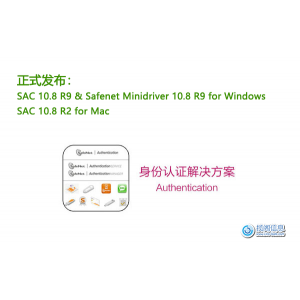正式发布：SAC 10.8 R9 & Safenet Minidriver 10.8 R9 for Window