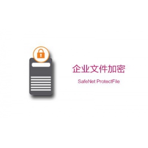 SafeNet ProtectFile：企业文件加密（已EoL）