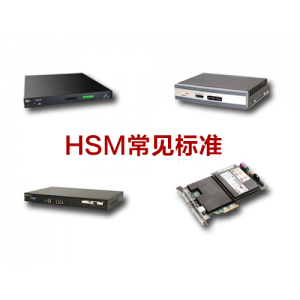 硬件安全模块（HSM）的常见标准是什么？