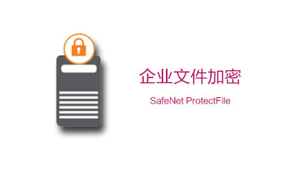 SafeNet ProtectFile：企业文件加密(图1)