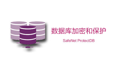 SafeNet ProtectDB：字段级别数据库加密和保护(图1)
