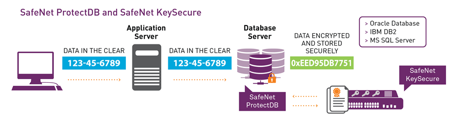SafeNet ProtectDB：字段级别数据库加密和保护(图2)