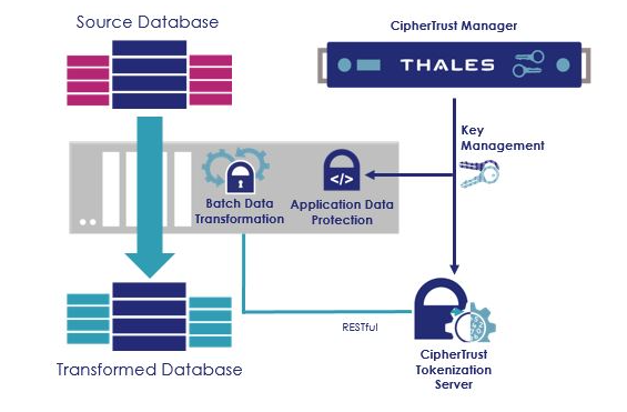 CipherTrust Batch Data Transformation/批量数据转换/安全静态数据屏蔽(图2)