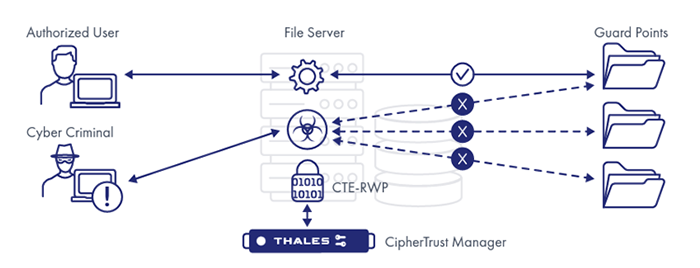CipherTrust Transparent Encryption Ransomware Protection/勒索软件防护(图2) CipherTrust Transparent Encryption Ransomware Protection - 产品简介(图2)