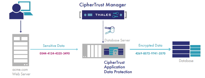 CipherTrust Database Protection - 产品简介(图2)
