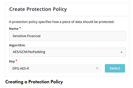 CipherTrust Data Protection Gateway - 产品简介(图3)