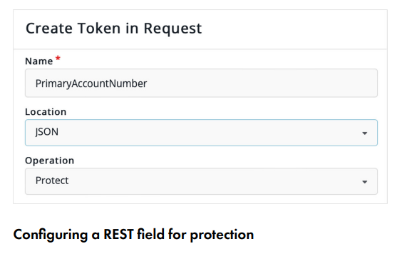 CipherTrust Data Protection Gateway - 产品简介(图4)