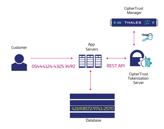 CipherTrust Tokenization - 产品简介(图3)