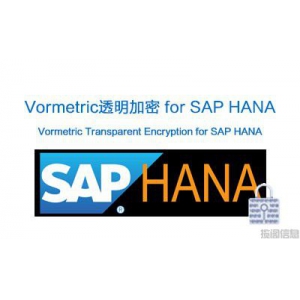 适用于SAP HANA的Vormetric透明加密（Vormetric Transparent Encryption f