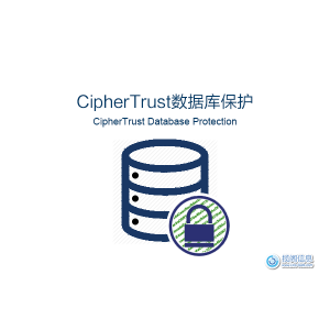 CipherTrust Database Protectio