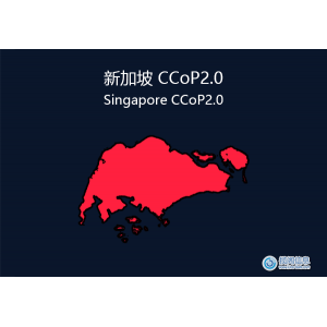 新加坡：CCoP2.0 合规性要求