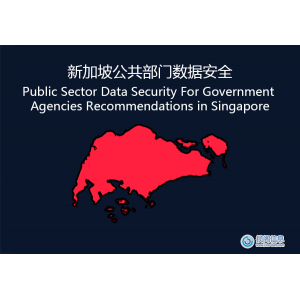 新加坡：公共部门数据安全 合规性要求