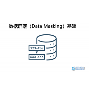 数据屏蔽（Data Masking）基础