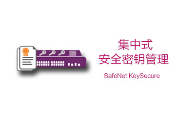 KeySecure 密钥保护及管理(图1)