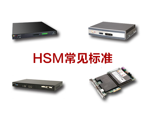 硬件安全模块（HSM）的常见标准是什么？(图1)