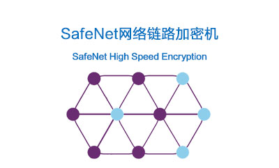SafeNet High Speed Encryption（HSE）高速网络链路加密机(图1)