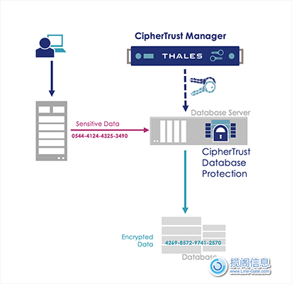 CipherTrust Database Protection（数据库保护）(图2)